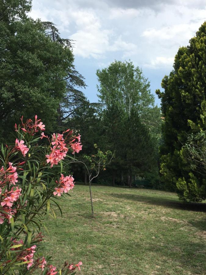 Basisa Bed&Breakfast San Lazzaro di Savena Zewnętrze zdjęcie