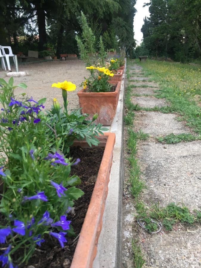 Basisa Bed&Breakfast San Lazzaro di Savena Zewnętrze zdjęcie