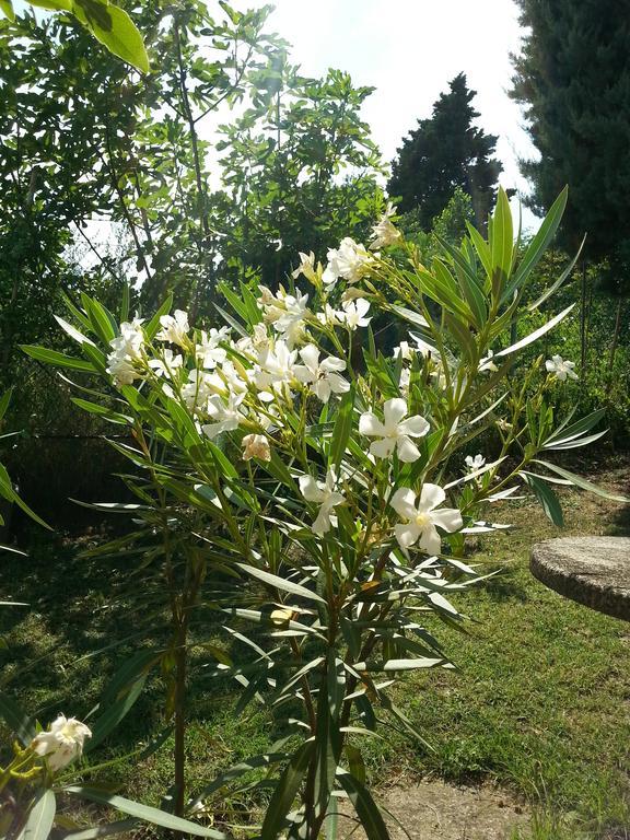 Basisa Bed&Breakfast San Lazzaro di Savena Zewnętrze zdjęcie