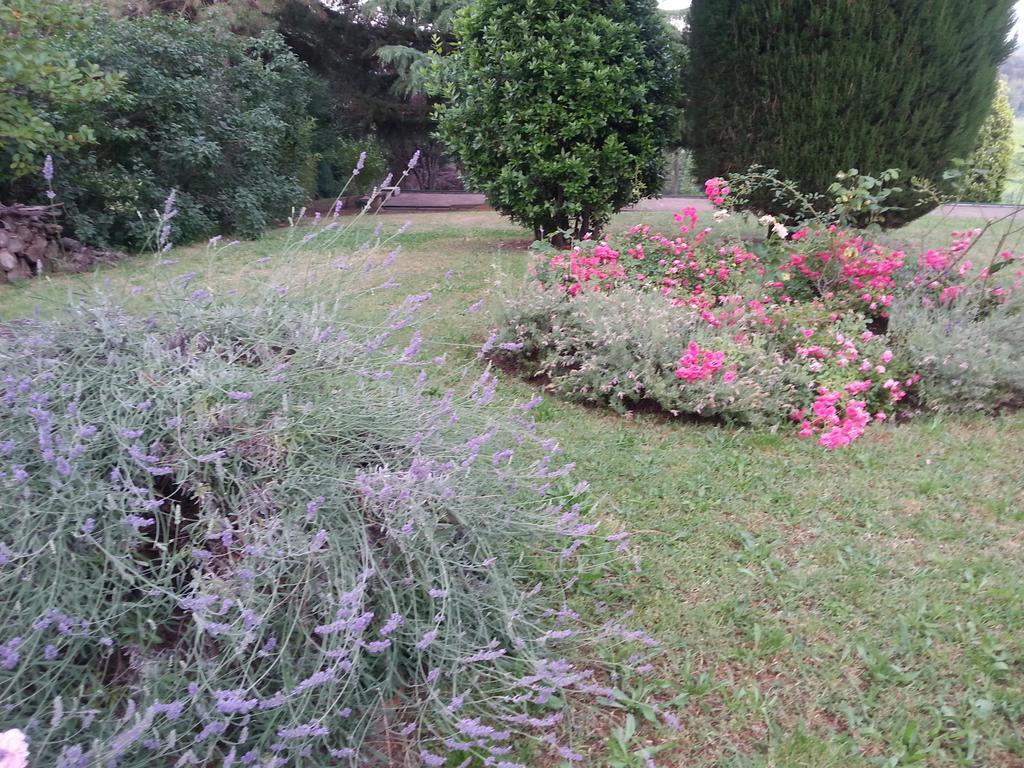 Basisa Bed&Breakfast San Lazzaro di Savena Zewnętrze zdjęcie