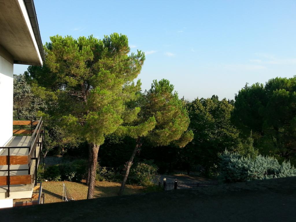 Basisa Bed&Breakfast San Lazzaro di Savena Pokój zdjęcie