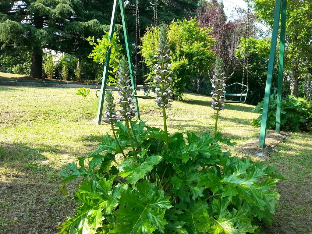 Basisa Bed&Breakfast San Lazzaro di Savena Zewnętrze zdjęcie