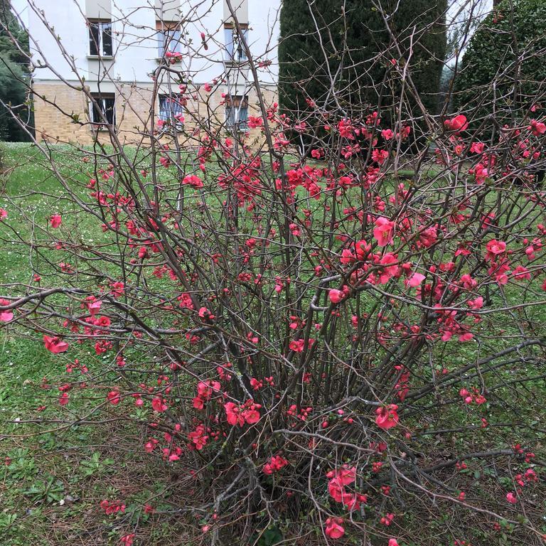 Basisa Bed&Breakfast San Lazzaro di Savena Zewnętrze zdjęcie