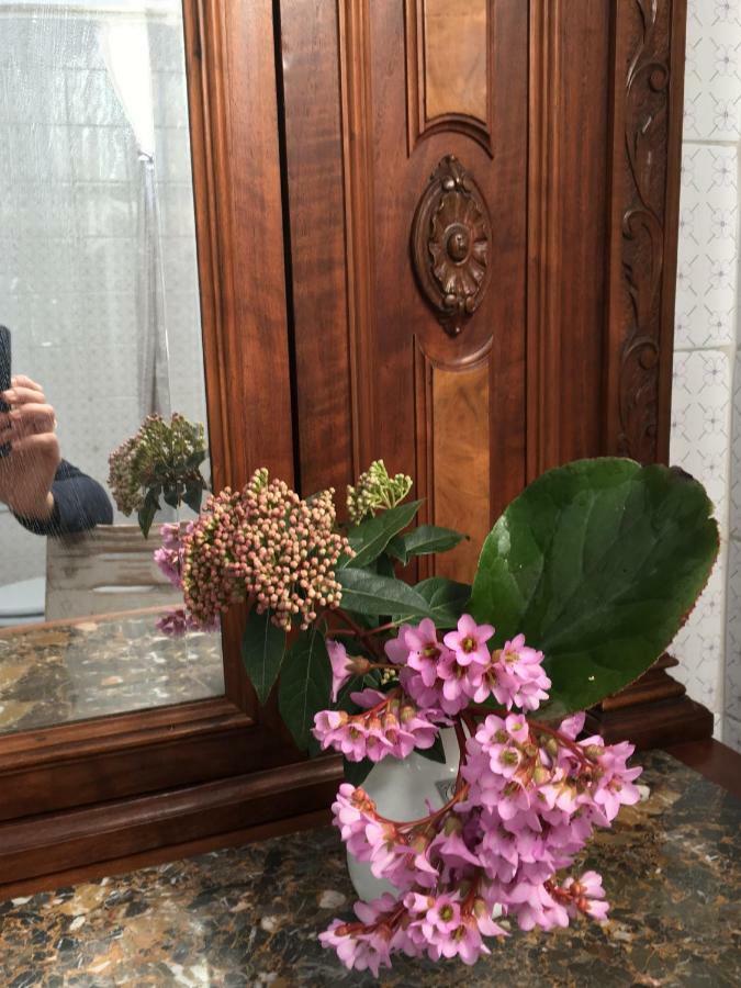 Basisa Bed&Breakfast San Lazzaro di Savena Zewnętrze zdjęcie