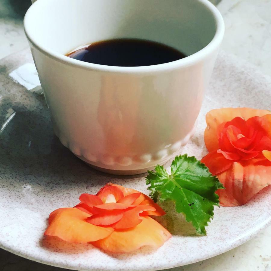 Basisa Bed&Breakfast San Lazzaro di Savena Zewnętrze zdjęcie